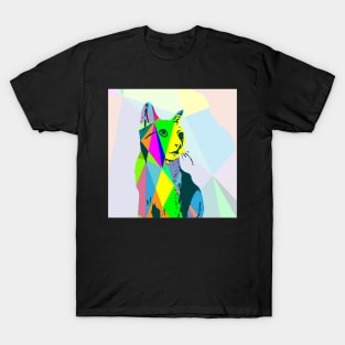 The cat geometry was sketched and then made into a low poly T-Shirt